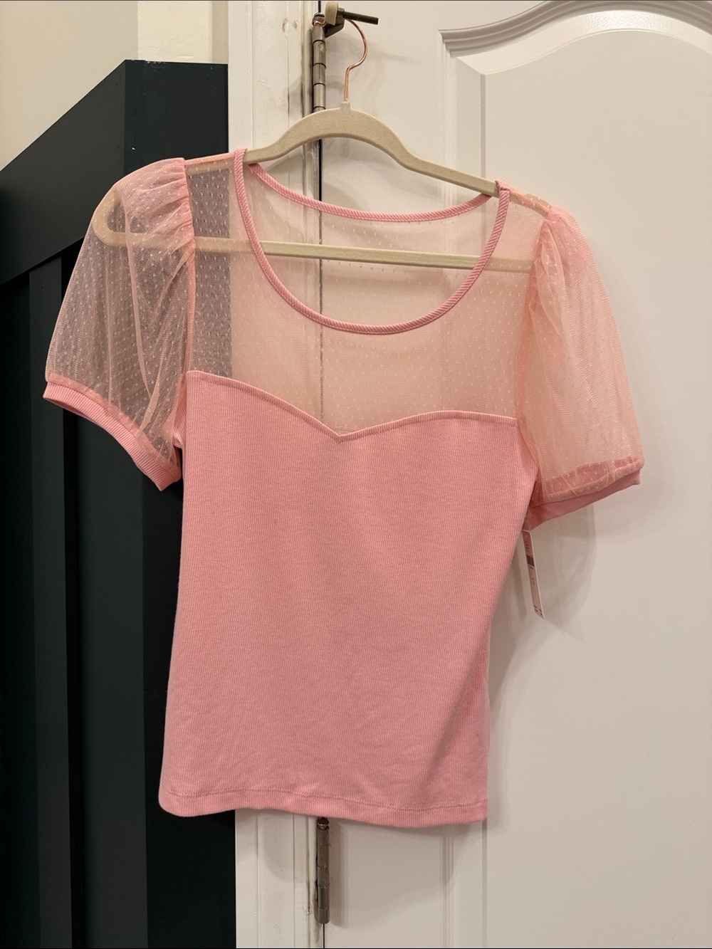 Anthropologie Sheer Yoke Pink Mesh Swiss Dot Top